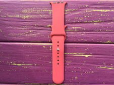 Silicone Watch 42(ser.1-3)/44/45/46/49mm s/m Camelia - 2