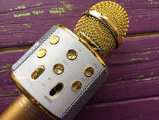 Мікрофон WS-858 Gold - 2