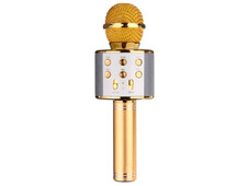 Мікрофон WS-858 Gold - 1
