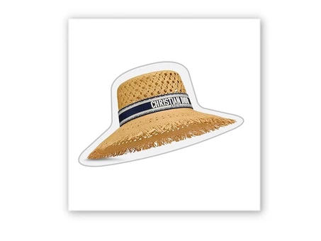 3D стікер Stix Christian Dior hat