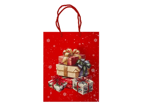 Пакет Новорічний Present 18x23x8 red