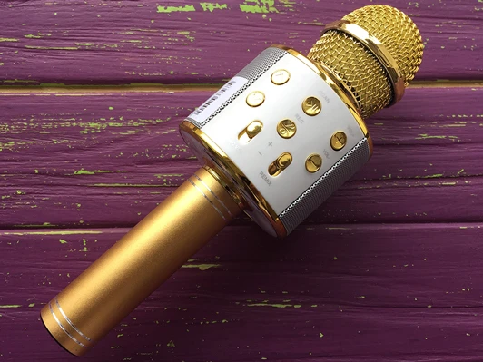 Мікрофон WS-858 Gold