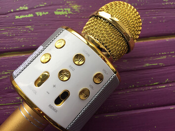 Мікрофон WS-858 Gold