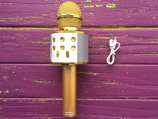 Мікрофон WS-858 Gold