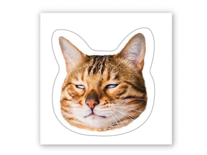 3D стікер Stix мем полосатий кіт