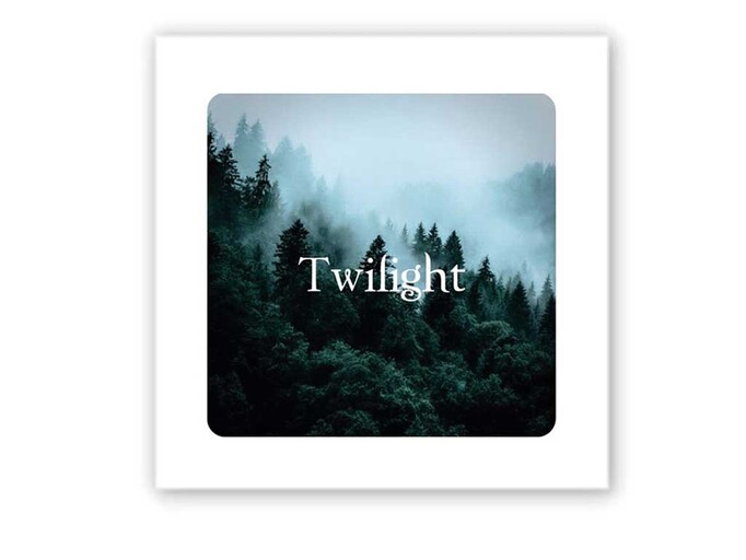 3D стікер Stix Twifight