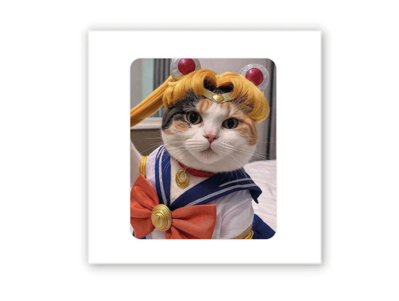 3D стікер Stix Sailor Moon Cat