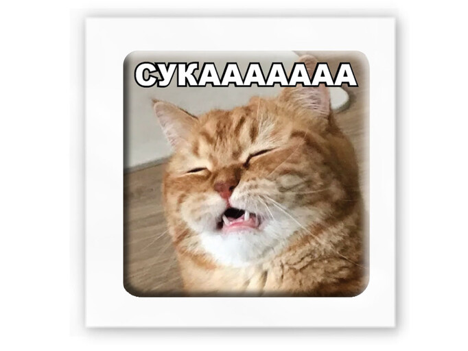 3D стікер Stix мем кіт С*КААААААА