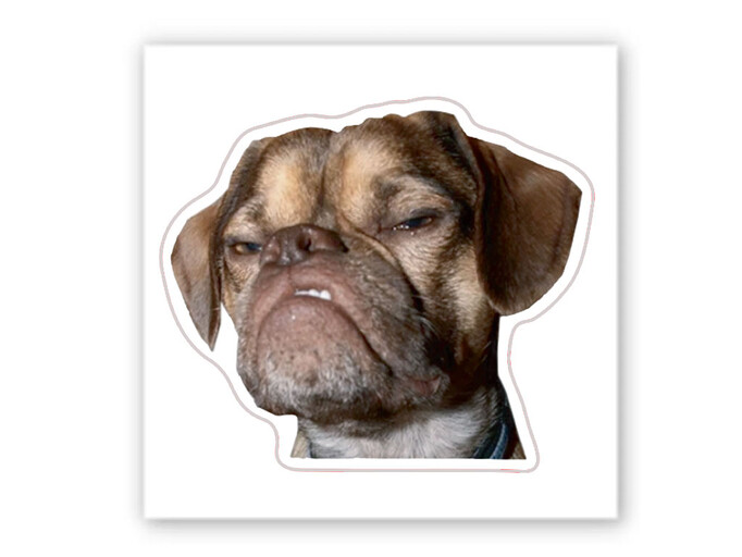 3D стікер Stix мем бульдог