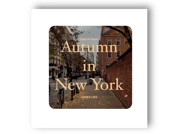 3D стікер Stix autumn in NY