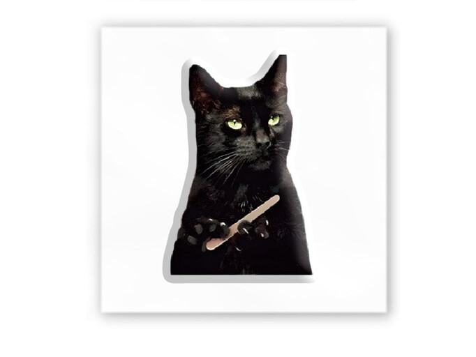 3D стикер Stix черный кот мем