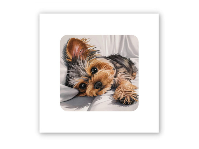 3D стікер Stix Sleeping Yorkie