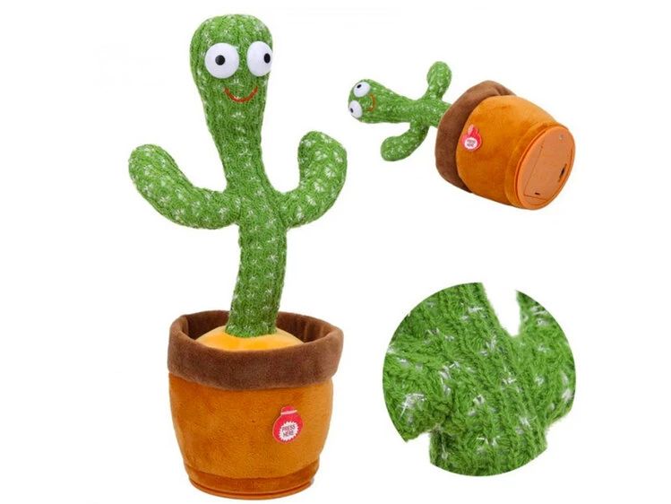 Dancing Cactus