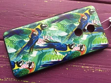 Чохол Pic Redmi 5 Parrot - 3