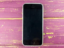 Силікон iPhone 5 Золотий папоротник - 4