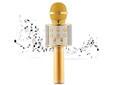 Микрофон Profit WS-858 Gold - 2