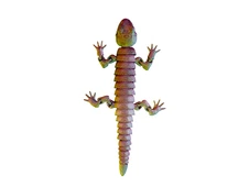 3D Іграшка Lizard gradient - 2