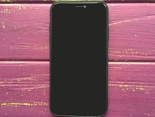 Rock Tatoo iPhone Xr Блакит. квіти - 3