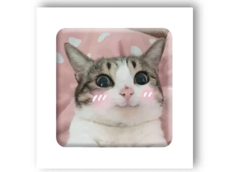3D стикер Stix мем милый котик