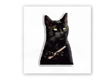 3D стикер Stix черный кот мем