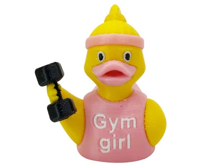3D Іграшка Girl gym
