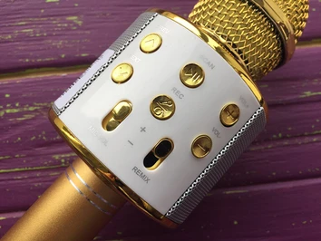 Мікрофон WS-858 Gold