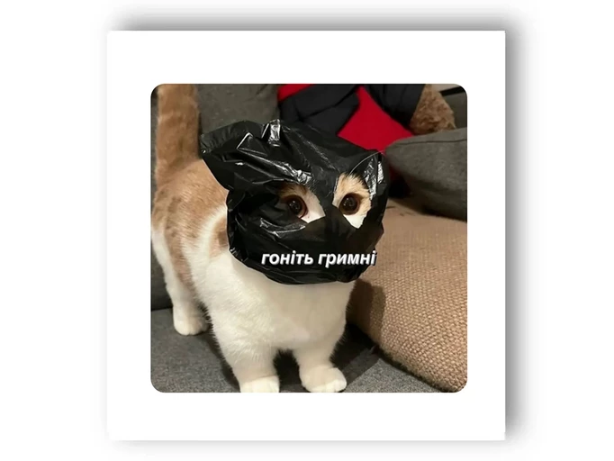 3D стикер Stix мем гоните гримны