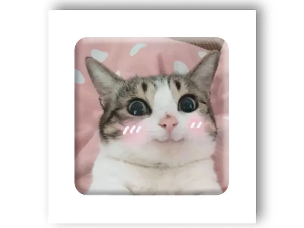 3D стикер Stix мем милый котик