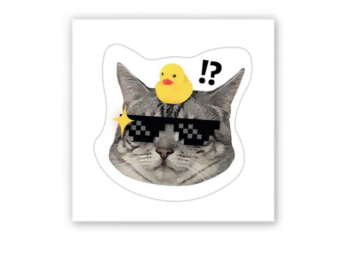 3D стікер Stix мем кіт з качкою